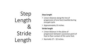Step
Length
&
Stride
Length
Step Length
• Linear distance along the line of
progression of one foot travelled during
one gait cycle.
• Approximately 15 inches.
Stride length
• Linear distance in the plane of
progression between successive point of
foot to floor contact of the same foot.
• Normally 27 – 32 inches.
 