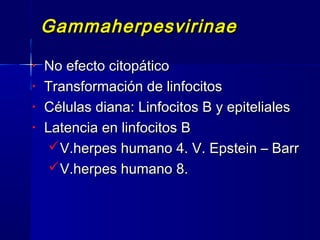 GammaherpesvirinaeGammaherpesvirinae
• No efecto citopáticoNo efecto citopático
• Transformación de linfocitosTransformación de linfocitos
• Células diana: Linfocitos B y epitelialesCélulas diana: Linfocitos B y epiteliales
• Latencia en linfocitos BLatencia en linfocitos B
V.herpes humano 4. V. Epstein – BarrV.herpes humano 4. V. Epstein – Barr
V.herpes humano 8.V.herpes humano 8.
 