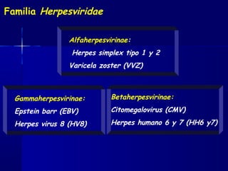 Familia Herpesviridae
Gammaherpesvirinae:
Epstein barr (EBV)
Herpes virus 8 (HV8)
Alfaherpesvirinae:
Herpes simplex tipo 1 y 2
Varicela zoster (VVZ)
Betaherpesvirinae:
Citomegalovirus (CMV)
Herpes humano 6 y 7 (HH6 y7)
 