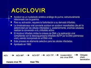 ACICLOVIRACICLOVIR
 Aciclovir es un nucleósido sintético análogo de purina, estructuralmenteAciclovir es un nucleósido sintético análogo de purina, estructuralmente
relacionado con la guanina.relacionado con la guanina.
 Para su activación, requiere la fosforilación a su derivado trifosfato.Para su activación, requiere la fosforilación a su derivado trifosfato.
 La timidinakinasa viral convierte aciclovir en aciclovir monofosfato (de ahí laLa timidinakinasa viral convierte aciclovir en aciclovir monofosfato (de ahí la
selectividad por las células infectadas) y, posteriormente, enzimas celularesselectividad por las células infectadas) y, posteriormente, enzimas celulares
realizan la conversión a di y trifosfato activo.realizan la conversión a di y trifosfato activo.
 El Aciclovir trifosfato inhibe la síntesis de DNA y la replicación viralEl Aciclovir trifosfato inhibe la síntesis de DNA y la replicación viral
compitiendo con la desoxiguanosina trifosfato dGTP por la DNA polimerasacompitiendo con la desoxiguanosina trifosfato dGTP por la DNA polimerasa
viral y siendo incorporado en el DNA viral.viral y siendo incorporado en el DNA viral.
 Este proceso es altamente selectivo para las células infectadas.Este proceso es altamente selectivo para las células infectadas.
 Aprobado en 1982Aprobado en 1982
 