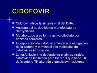 CIDOFOVIRCIDOFOVIR
 Cidofovir inhibe la sintesis viral del DNA.Cidofovir inhibe la sintesis viral del DNA.
 Analogo del nucleotido de monofosfato deAnalogo del nucleotido de monofosfato de
deoxycitidine.deoxycitidine.
 Metabolizado a su forma activa difosfato porMetabolizado a su forma activa difosfato por
enzimas celulares.enzimas celulares.
 Incorporacion de cidofovir enlentece la elongacionIncorporacion de cidofovir enlentece la elongacion
de la cadena y termina si dos moleculas dede la cadena y termina si dos moleculas de
cidofovir es introducido.cidofovir es introducido.
 La fosforilacion no depende de enzimas virales,La fosforilacion no depende de enzimas virales,
cidofovir es inhibitorio para los virus que tiene TKcidofovir es inhibitorio para los virus que tiene TK
deficiente, o TK alterado y ganciclovir resistente.deficiente, o TK alterado y ganciclovir resistente.
 