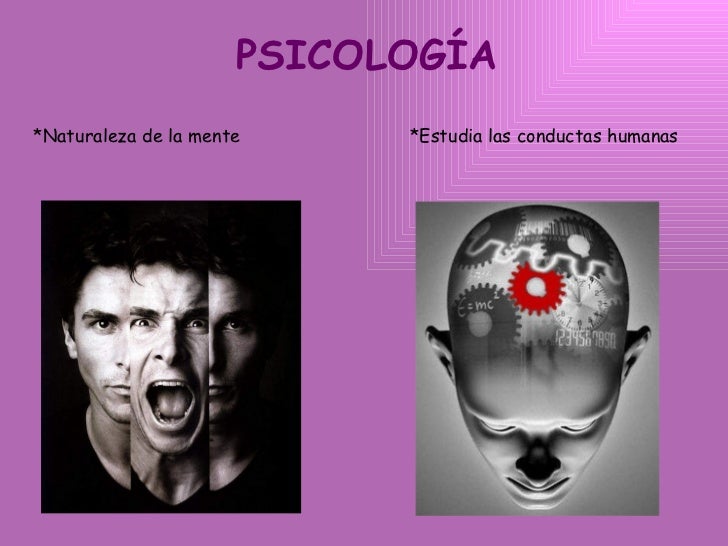 historia de la pscologia historia de la pscologia