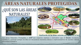 areas naturales protegidas