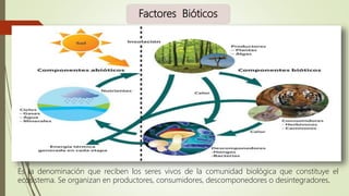 ecología ecosistema | PPTX