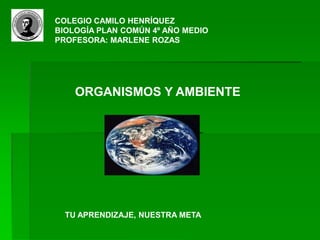 COLEGIO CAMILO HENRÍQUEZ
BIOLOGÍA PLAN COMÚN 4º AÑO MEDIO
PROFESORA: MARLENE ROZAS
ORGANISMOS Y AMBIENTE
TU APRENDIZAJE, NUESTRA META
 