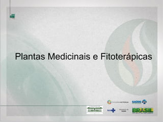LEGISLAÇÃO E FITOTERÁPICOS
 ANVISA / MS: exigência de estudos científicos que
comprovem a eficácia do produto e a ausência de riscos
à saúde;
 Estudos pré-clínicos e clínicos;
 Combate à comercialização ilegal de medicamentos.
 