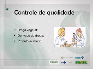 Exemplo: Ginkgo biloba (ginkyo:
damasco prateado)
• Inúmeros trabalhos mostrando os benefícios do extrato de Ginkgo
biloba nos processos cognitivos (memória, atenção, aprendizagem),
especialmente nos casos onde existe um déficit inicial;
• É utilizada no tratamento da doença de Alzheimer;
• Ação: antioxidante,  viscosidade sanguínea e ↑ a circulação
sanguínea: ↑ aporte de oxigênio e glicose para os neurônios.
 