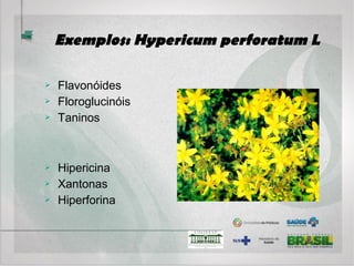 Acupuntura
• Inserção de finas agulhas em pontos determinados anatomicamente, para
equilibrar corpo/mente;
• Várias técnicas: acupuntura sistêmica, auricular, escalpeana,
eletroacupuntura;
• Sistematização do procedimento – SUS.
 