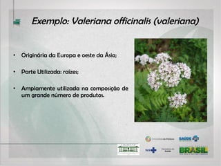 Tai Chi Chuan
• Taijiquan é uma arte marcial, realizada de forma suave e
lenta, associada à respiração, ao relaxamento e à
concentração. Estimula respostas naturais de cura do
organismo, que atuam na prevenção de agravos,
recuperação da saúde e na visão ampliada do autocuidado;
• Atualmente é reconhecida pela UNESCO, como patrimônio
da humanidade.
 