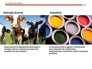 Nutrição Animal Industrial
Desenvolvemos ingredientes destinados à
nutrição animal e insumos por meio dos
produtos da marca Nutron.
Fornecemos óleos vegetais e lubrificantes
para indústrias de lubrificantes,
medicamentos, cosméticos, tintas e produtos
químicos.
ATUAÇÃO NO BRASIL
 