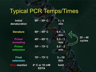 Hammed Pcr Polymerase chain reaction (PCR) BY DR YOUSIF HAMED MOHAMED SHARIF | PPT