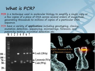 Hammed Pcr Polymerase chain reaction (PCR) BY DR YOUSIF HAMED MOHAMED SHARIF | PPT