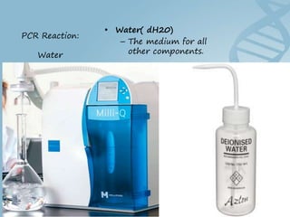 Hammed Pcr Polymerase chain reaction (PCR) BY DR YOUSIF HAMED MOHAMED SHARIF | PPT