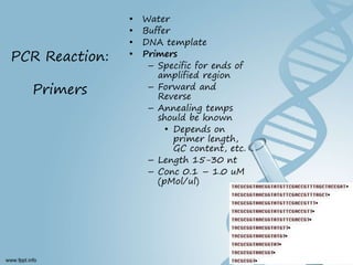 Hammed Pcr Polymerase chain reaction (PCR) BY DR YOUSIF HAMED MOHAMED SHARIF | PPT