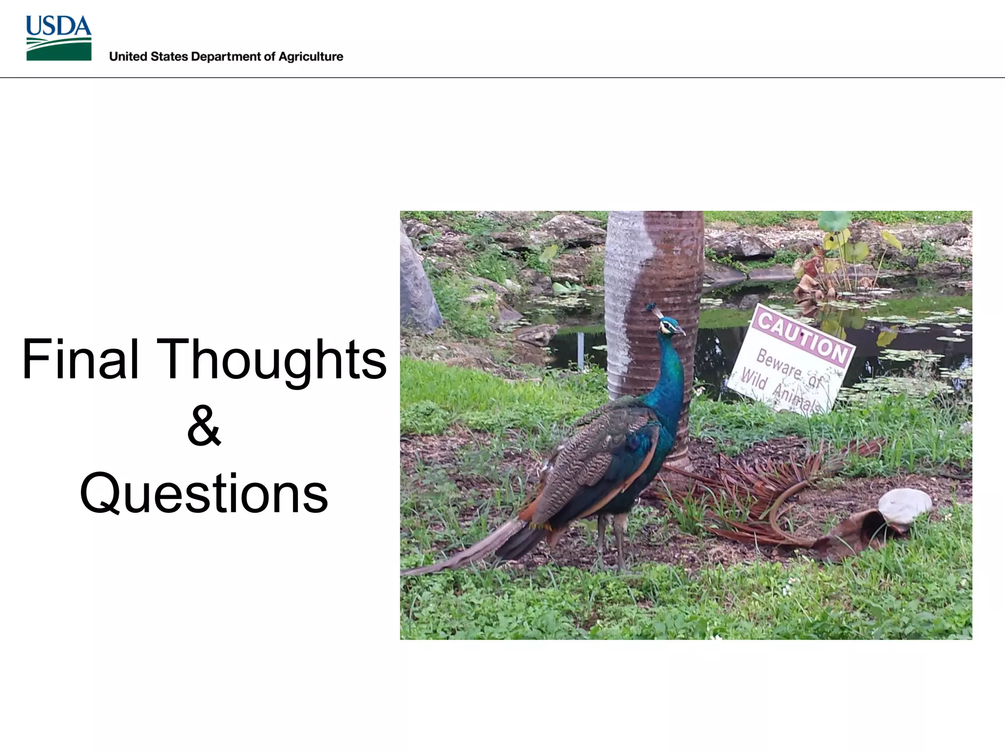 Slide 55