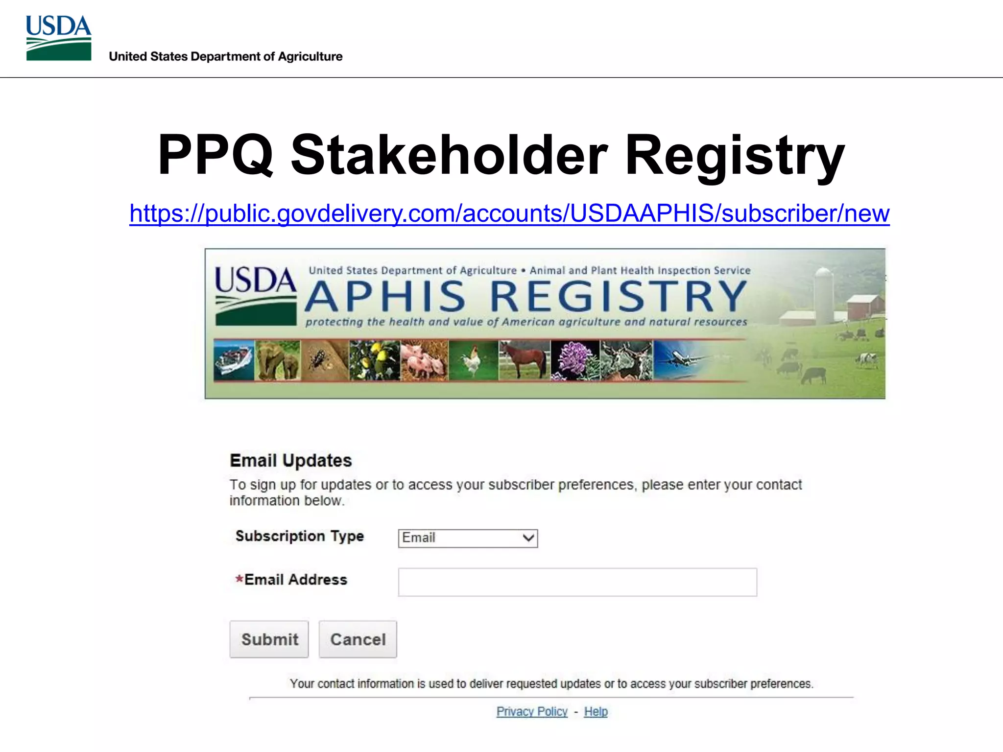 Slide 6