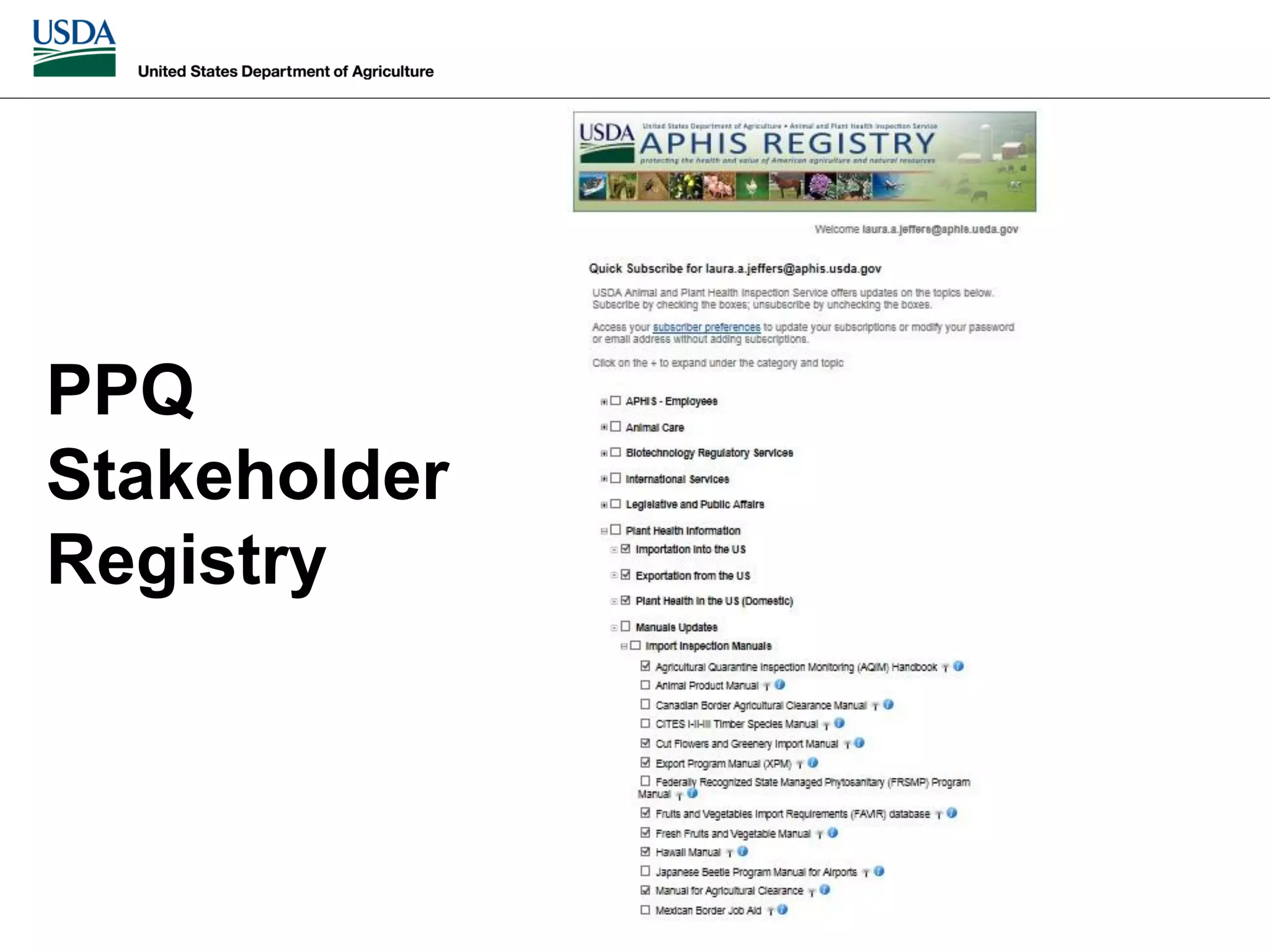 Slide 7