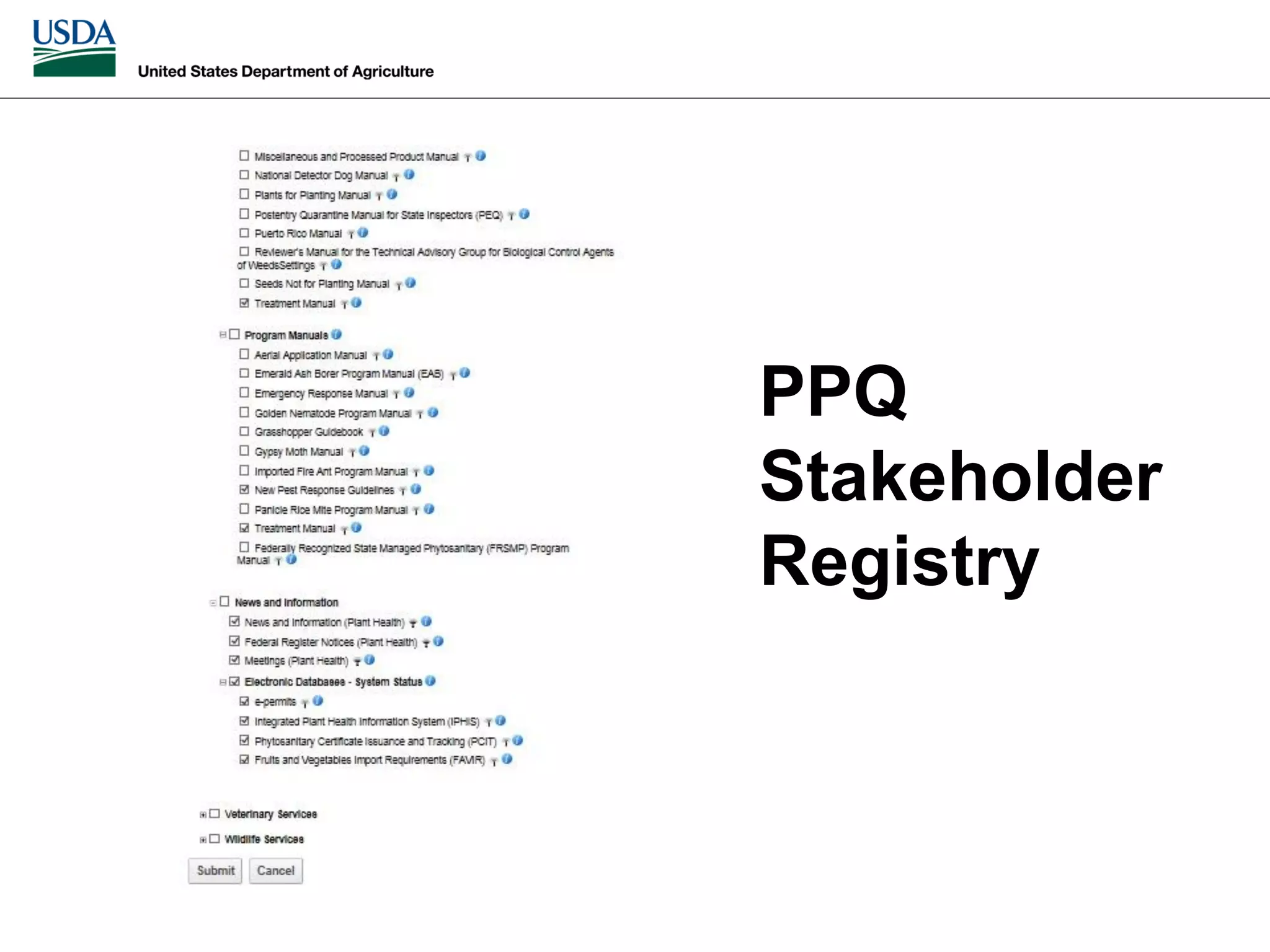 Slide 8
