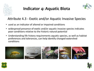 4 aquatic biota_english_071418 | PDF