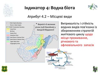 Індикатор 4: Водна біота
Атрибут 4.2 – Місцеві види
Витривалість і стійкість
водних видів пов'язана із
збереженням стратегій
життєвого циклу щодо
місця проживання,
річкового та
афлювіального запасів
* Верхів‘я 6 великих
річок (суб-басейнів) у
Західній Вірджинії
 