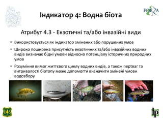 Індикатор 4: Водна біота
Атрибут 4.3 - Eкзотичні та/або інвазійні види
• Використовується як індикатор змінених або порушених умов
• Широко поширена присутність екзотичних та/або інвазійних водних
видів визначає бідні умови відносно потенціалу історичних природних
умов
• Розуміння вимог життєвого циклу водних видів, а також перtваг та
витривалості біотопу може допомогти визначити змінені умови
водозбору
 