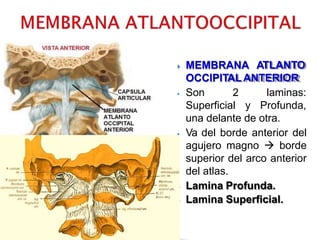 4articulacioncervical 210330185958 pptx 4articulacioncervical 210330185958 pptx