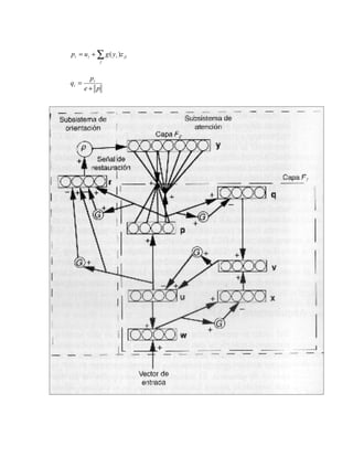 pi = u i + ∑ g ( y i )z ji
              j



        pi
qi =
       e+ p
 
