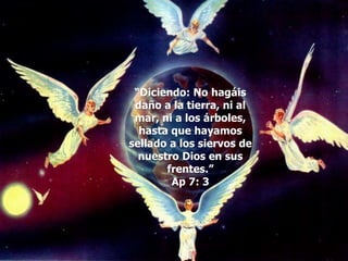 “Diciendo: No hagáis
daño a la tierra, ni al
mar, ni a los árboles,
hasta que hayamos
sellado a los siervos de
nuestro Dios en sus
frentes.”
Ap 7: 3
 
