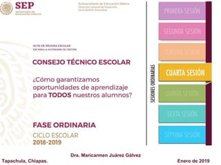 Dra. Maricarmen Juárez Gálvez
Tapachula, Chiapas. Enero de 2019
 