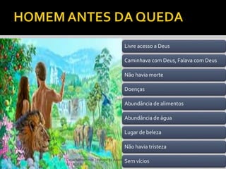 Departamento deTeologia daAssembléia de Deus de Caçapava-SP - Curso Básico
CETADEB 8
Livre acesso a Deus
Caminhava com Deus, Falava com Deus
Não havia morte
Doenças
Abundância de alimentos
Abundância de água
Lugar de beleza
Não havia tristeza
Sem vícios
 