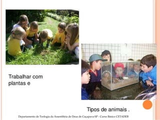 Departamento de Teologia da Assembleia de Deus de Caçapava-SP - Curso Básico CETADEB 29
 