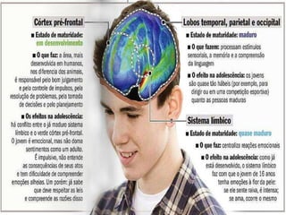 Departamento de Teologia da Assembleia de Deus de Caçapava-SP - Curso Básico CETADEB 32
 