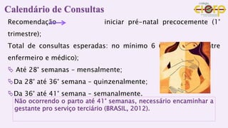 Calendário de Consultas
Recomendação iniciar pré-natal precocemente (1°
trimestre);
Total de consultas esperadas: no mínimo 6 (intercaladas entre
enfermeiro e médico);
 Até 28° semanas – mensalmente;
Da 28° até 36° semana – quinzenalmente;
Da 36° até 41° semana – semanalmente.
Não ocorrendo o parto até 41° semanas, necessário encaminhar a
gestante pro serviço terciário (BRASIL, 2012).
 
