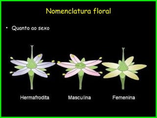 Nomenclatura floral
• Quanto ao sexo
 