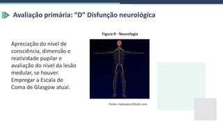 Avaliação primária: “D” Disfunção neurológica
Apreciação do nível de
consciência, dimensão e
reatividade pupilar e
avaliação do nível da lesão
medular, se houver.
Empregar a Escala de
Coma de Glasgow atual.
Figura 9 - Neurologia
Fonte: myboxpra/iStock.com.
 