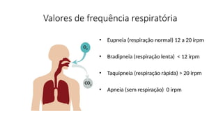 Valores de frequência respiratória
• Eupneia (respiração normal) 12 a 20 irpm
• Bradipneia (respiração lenta) < 12 irpm
• Taquipneia (respiração rápida) > 20 irpm
• Apneia (sem respiração) 0 irpm
 