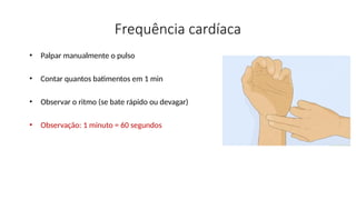 Frequência cardíaca
• Palpar manualmente o pulso
• Contar quantos batimentos em 1 min
• Observar o ritmo (se bate rápido ou devagar)
• Observação: 1 minuto = 60 segundos
 