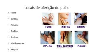 Locais de aferição do pulso
• Radial
• Carótida
• Femoral
• Poplíteo
• Pedioso
• Tibial posterior
• Braquial
 