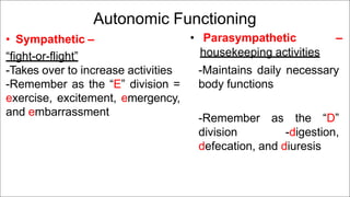 4_Autonomic_nervous_system_and_control_of_visceral_functions_lect.pptx