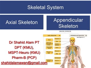 Axial Skeleton
Skeletal System
Appendicular
Skeleton
Dr Shahid Alam PT
DPT (KMU),
MSPT-Neuro (KMU)
Pharm-B (PCP)
shahidalamawan@gmail.com
 