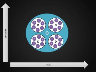 P

P
P

GROWTH

P

D

P

P

D

P

P

P

P
P

P

O
P
P

P

D

P
P

P

P

P
P

D

P
P

TIME

P

 