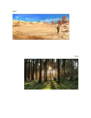 Desert
Forest
 