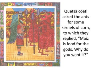 Quetzalcoatl
asked the ants
for some
kernels of corn,
to which they
replied, “Maíz
is food for the
gods. Why do
you want it?”
 