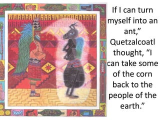 If I can turn
myself into an
ant,”
Quetzalcoatl
thought, “I
can take some
of the corn
back to the
people of the
earth.”
 