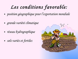 Les conditions favorable: position géographique pour l’exportation mondiale grande variété  climatique réseau hydrographique  riche sols variés et fertiles 