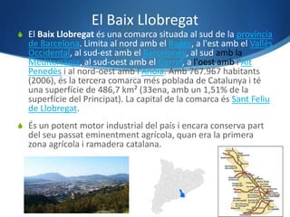 El Baix Llobregat
 El Baix Llobregat és una comarca situada al sud de la província
  de Barcelona. Limita al nord amb el Bages, a l'est amb el Vallès
  Occidental, al sud-est amb el Barcelonès, al sud amb la
  Mediterrània, al sud-oest amb el Garraf, a l'oest amb l'Alt
  Penedès i al nord-oest amb l'Anoia. Amb 767.967 habitants
  (2006), és la tercera comarca més poblada de Catalunya i té
  una superfície de 486,7 km² (33ena, amb un 1,51% de la
  superfície del Principat). La capital de la comarca és Sant Feliu
  de Llobregat.
 És un potent motor industrial del país i encara conserva part
  del seu passat eminentment agrícola, quan era la primera
  zona agrícola i ramadera catalana.
 