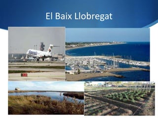 El Baix Llobregat
 