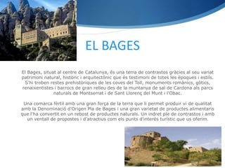 EL BAGES
El Bages, situat al centre de Catalunya, és una terra de contrastos gràcies al seu variat
patrimoni natural, històric i arquitectònic que és testimoni de totes les èpoques i estils.
 S'hi troben restes prehistòriques de les coves del Toll, monuments romànics, gòtics,
renaixentistes i barrocs de gran relleu des de la muntanya de sal de Cardona als parcs
               naturals de Montserrat i de Sant Llorenç del Munt i l'Obac.

 Una comarca fèrtil amb una gran força de la terra que li permet produir vi de qualitat
amb la Denominació d'Origen Pla de Bages i una gran varietat de productes alimentaris
que l'ha convertit en un rebost de productes naturals. Un indret ple de contrastos i amb
  un ventall de propostes i d'atractius com els punts d'interès turístic que us oferim.
 