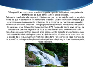 El Berguedà, és una comarca amb un important gradient altitudinal, que porta a la
                   diferenciació de dues parts: l'Alt i el Baix Berguedà.
Pel que fa referència a la vegetació hi trobem un gran nombre de formacions vegetals
entre les que hi destaquem les formacions forestals. Els boscos varien a mesura que
  avancem cap a les zones més enlairades de la comarca, de manera que es poden
diferenciar en l'àmbit més baix i més pròpiament mediterrani, formacions amb alzinar
 de carrasca, propi dels ambients continentals. L'Alt Berguedà, per la seva banda, és
   caracteritzat per una vegetació de tipus submediterrani amb rouredes amb boix, i
fagedes que únicament fan aparició a les obagues més frescals. L'explotació secular
 dels boscos ha afavorit en gran part d'aquest territori la substitució de la roureda per
 la pineda de pi roig, actualment molt més abundant. Per sobre dels 1600 m d'alçada
fa aparició el paisatge subalpí caracteritzat pel bosc de pi negre, i per extensos prats
                                     rasos pasturats.
 