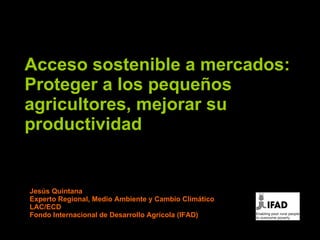 Acceso sostenible a mercados:  Proteger a los peque ñ os agricultores, mejorar su productividad Jesús Quintana Experto Regional, Medio Ambiente y Cambio Climático LAC/ECD Fondo Internacional de Desarrollo Agrícola (IFAD) 